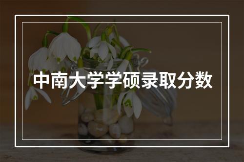 中南大学学硕录取分数