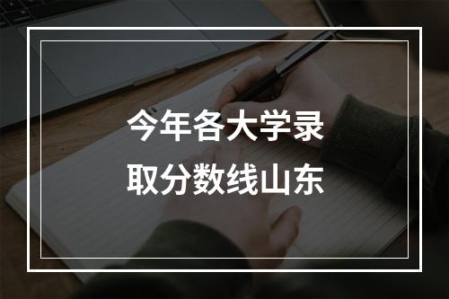 今年各大学录取分数线山东