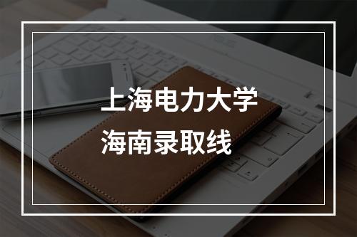 上海电力大学海南录取线