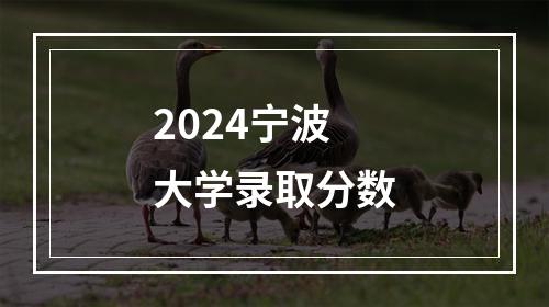 2024宁波大学录取分数