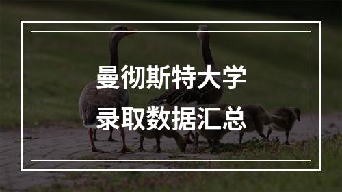 曼彻斯特大学录取数据汇总