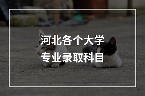 河北各个大学专业录取科目