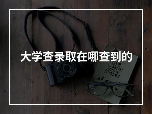 大学查录取在哪查到的