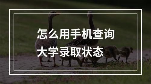 怎么用手机查询大学录取状态