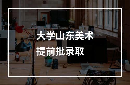 大学山东美术提前批录取