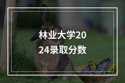 林业大学2024录取分数