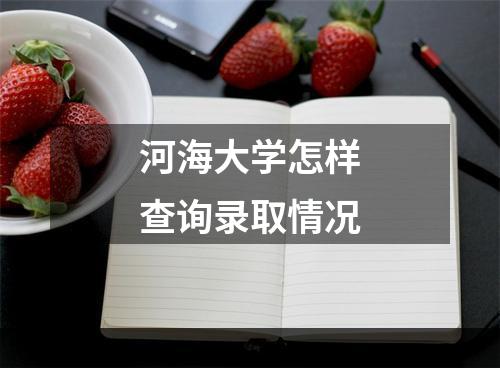 河海大学怎样查询录取情况