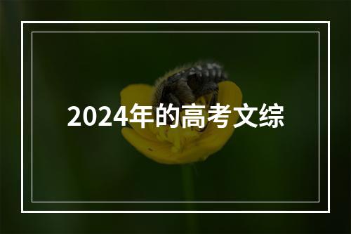 2024年的高考文综