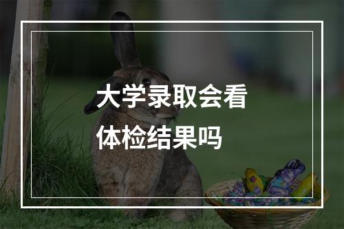 大学录取会看体检结果吗