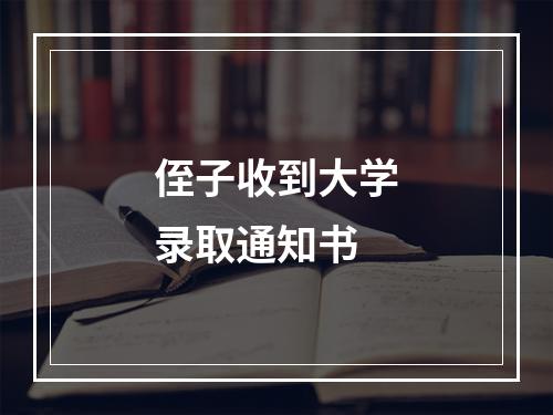 侄子收到大学录取通知书