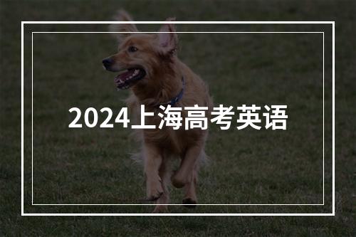 2024上海高考英语