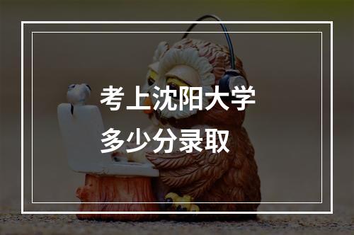 考上沈阳大学多少分录取