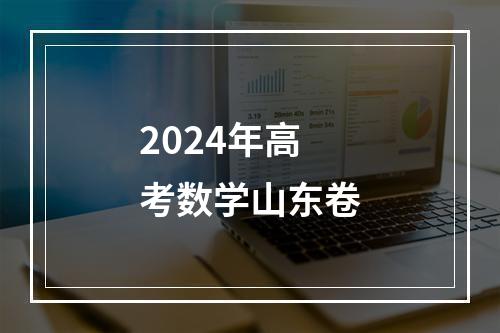 2024年高考数学山东卷