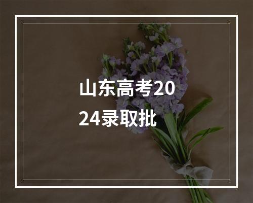 山东高考2024录取批