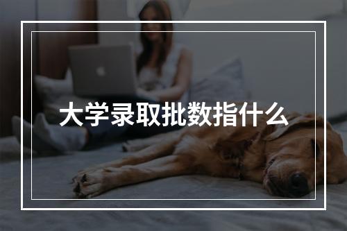 大学录取批数指什么