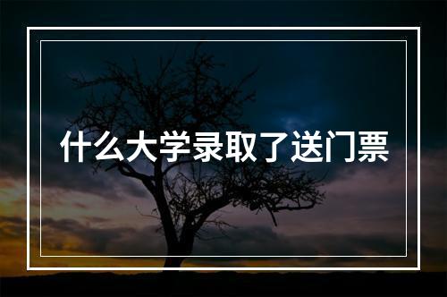 什么大学录取了送门票