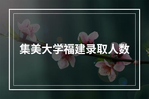 集美大学福建录取人数