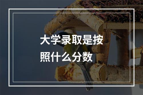 大学录取是按照什么分数