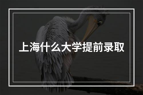 上海什么大学提前录取