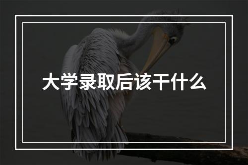 大学录取后该干什么