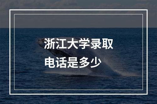 浙江大学录取电话是多少