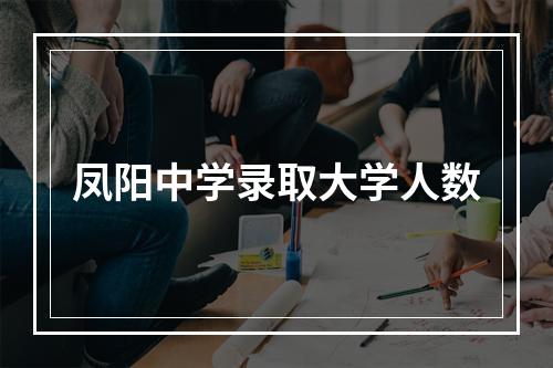 凤阳中学录取大学人数