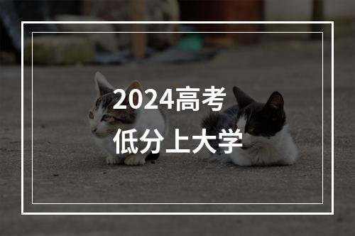 2024高考低分上大学