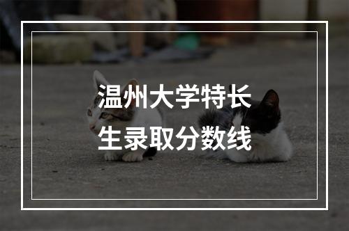 温州大学特长生录取分数线