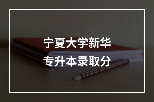 宁夏大学新华专升本录取分