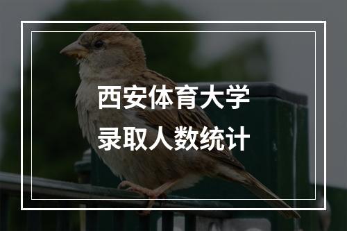 西安体育大学录取人数统计