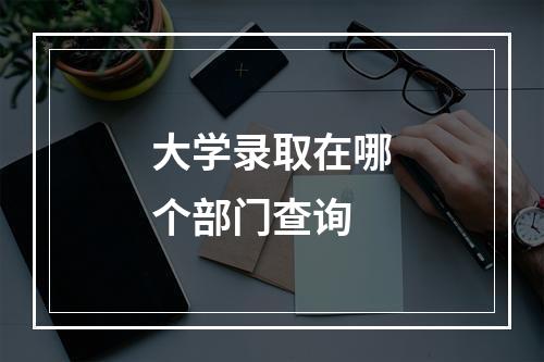 大学录取在哪个部门查询