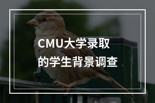 CMU大学录取的学生背景调查