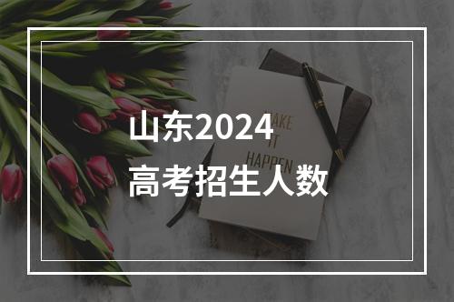 山东2024高考招生人数