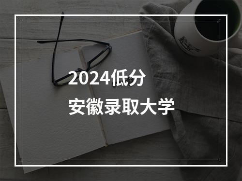 2024低分安徽录取大学