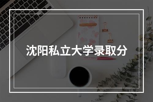 沈阳私立大学录取分