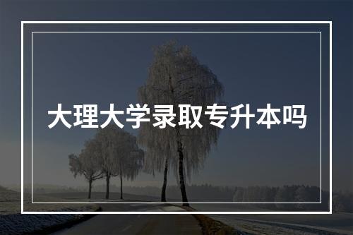 大理大学录取专升本吗