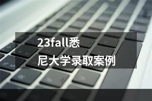 23fall悉尼大学录取案例