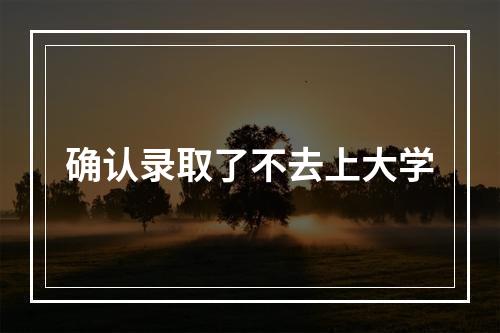 确认录取了不去上大学