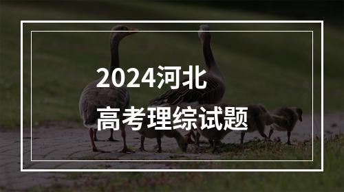 2024河北高考理综试题