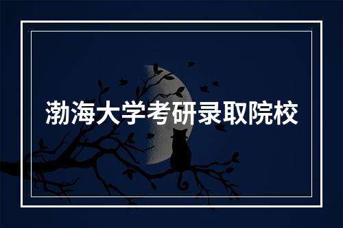 渤海大学考研录取院校