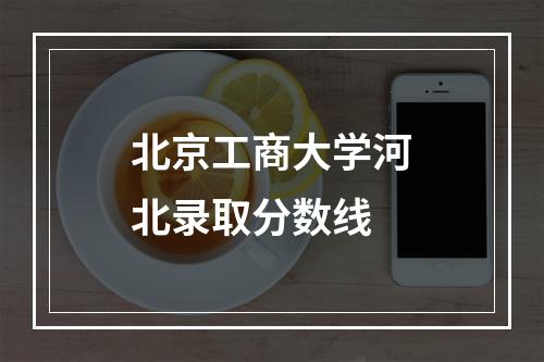 北京工商大学河北录取分数线