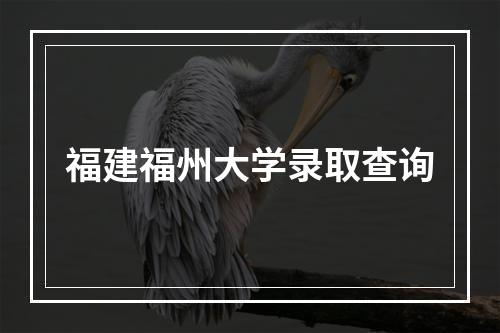 福建福州大学录取查询