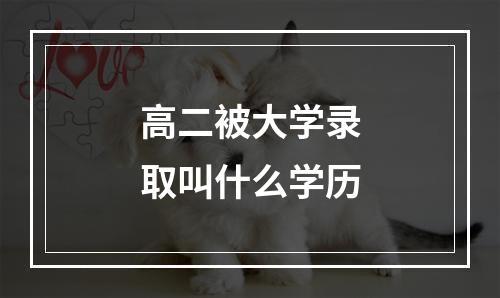 高二被大学录取叫什么学历