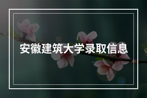 安徽建筑大学录取信息