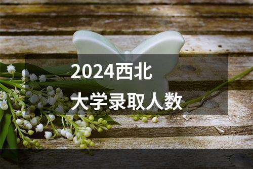 2024西北大学录取人数