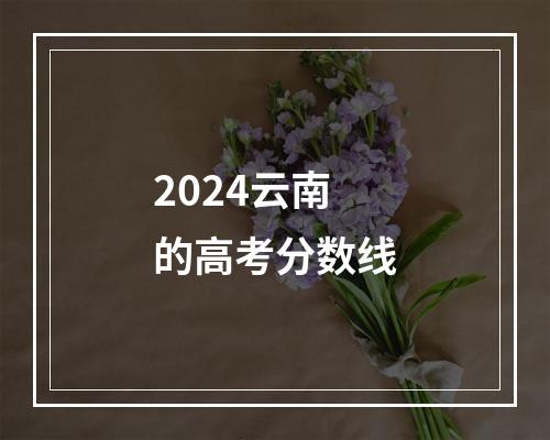 2024云南的高考分数线