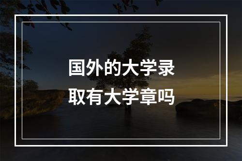 国外的大学录取有大学章吗