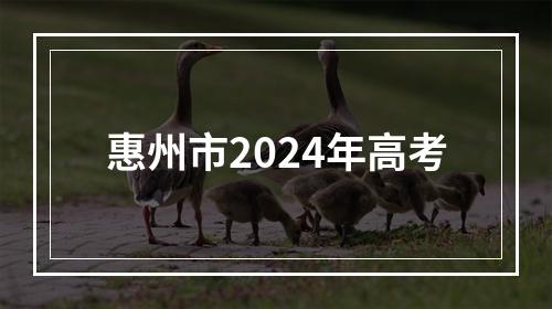 惠州市2024年高考