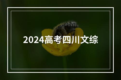 2024高考四川文综