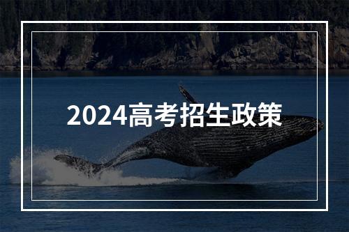 2024高考招生政策